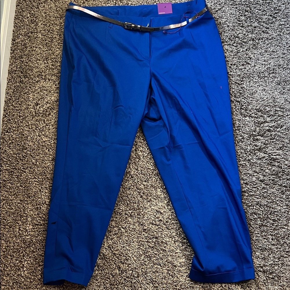 Lane Bryant Royal Blue Cropped Pants